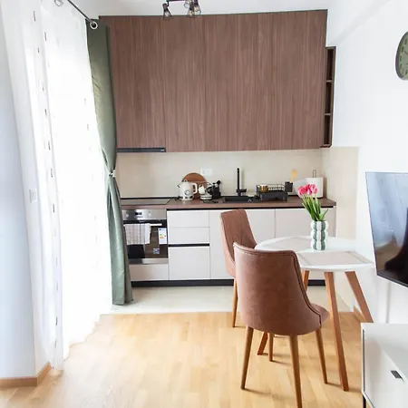 Tulip - New Studio, Self Check-in, Airport Pickup Appartement *
