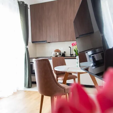 Tulip - New Studio, Self Check-in, Airport Pickup Appartement
