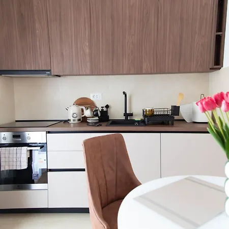 Tulip - New Studio, Self Check-in, Airport Pickup Appartement Podgorica